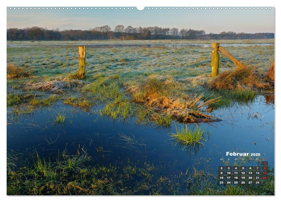 Die Dingdener Heide im Wandel der Jahreszeiten (CALVENDO Wandkalender 2026)