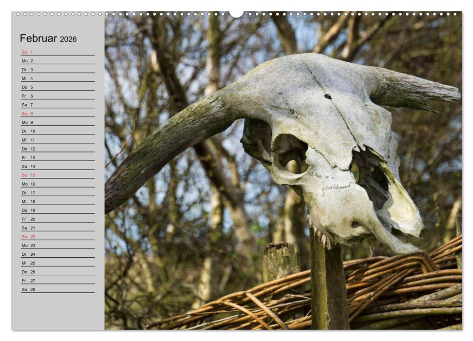 Dänemark - Umgebung von Hvide Sande (CALVENDO Premium Wandkalender 2026)