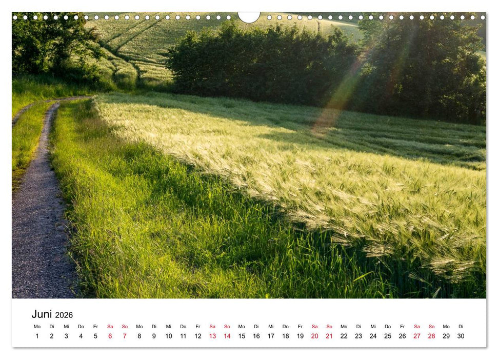 Wege in der Natur - Kraichgau und Enzkreis (CALVENDO Wandkalender 2026)