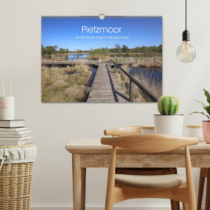Pietzmoor - ein Hochmoor in der Lüneburger Heide (CALVENDO Wandkalender 2026)