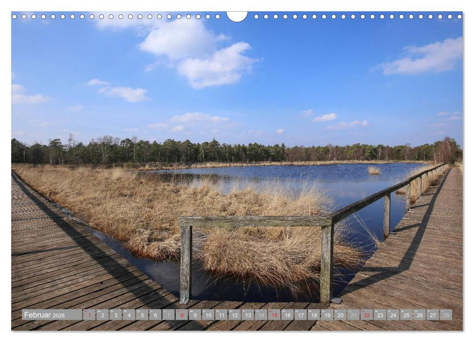 Pietzmoor - ein Hochmoor in der Lüneburger Heide (CALVENDO Wandkalender 2026)