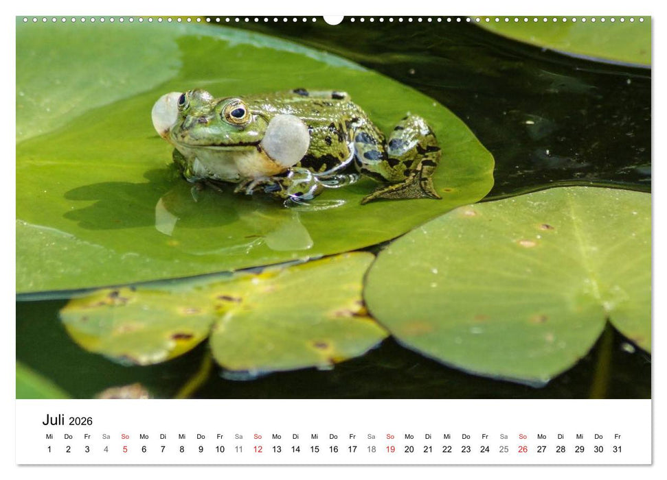 Paradies Naturgarten (CALVENDO Premium Wandkalender 2026)