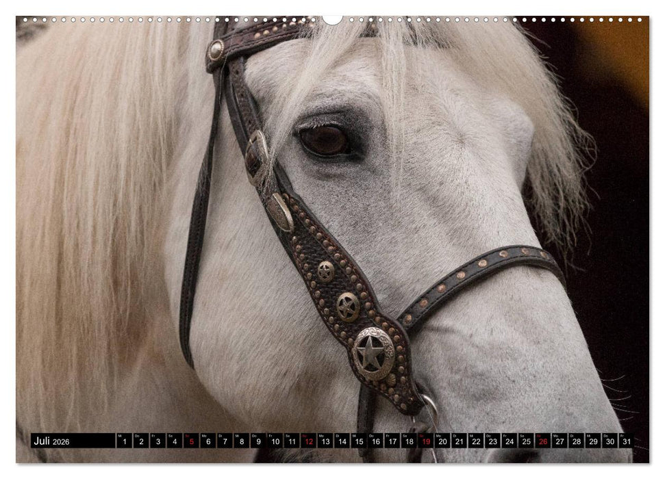 Bayerisches Western Gefühl (CALVENDO Premium Wandkalender 2026)