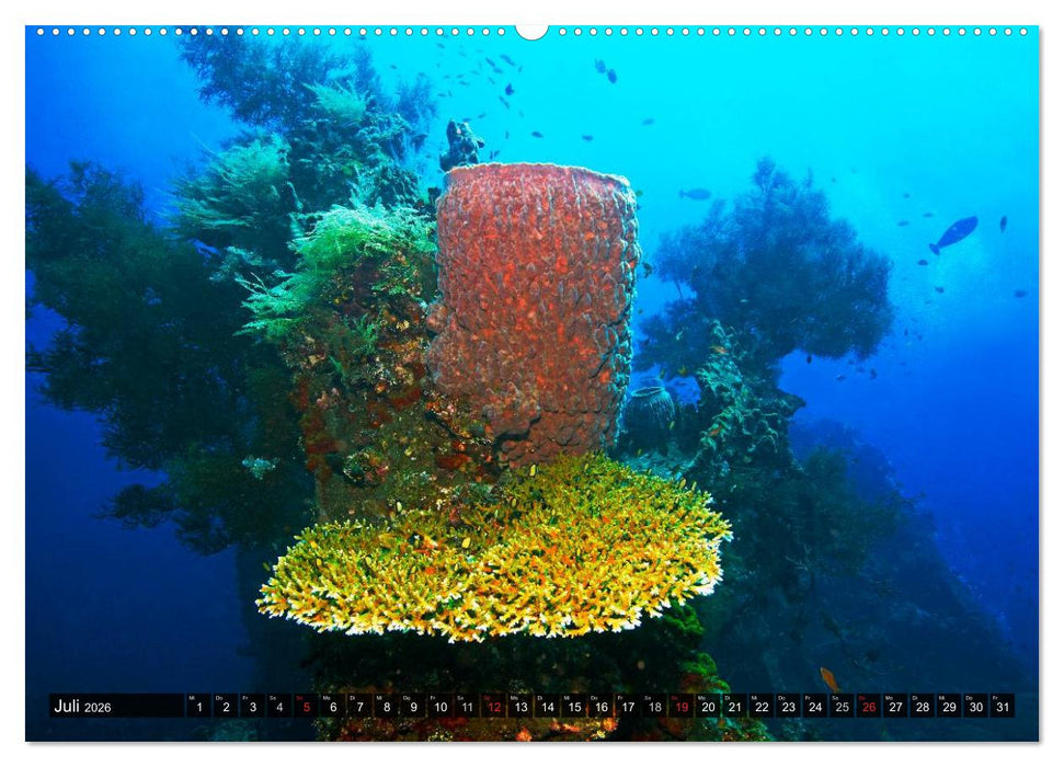Impressionen tropischer Meere (CALVENDO Premium Wandkalender 2026)