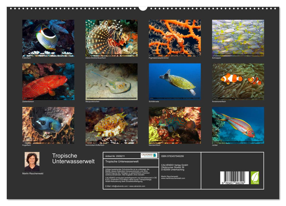 Tropische Unterwasserwelt (CALVENDO Premium Wandkalender 2026)