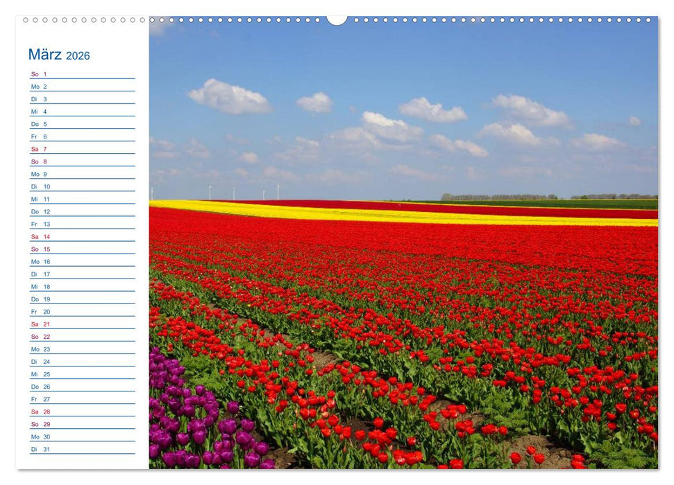 Magdeburg und Umgebung 2026 (CALVENDO Wandkalender 2026)