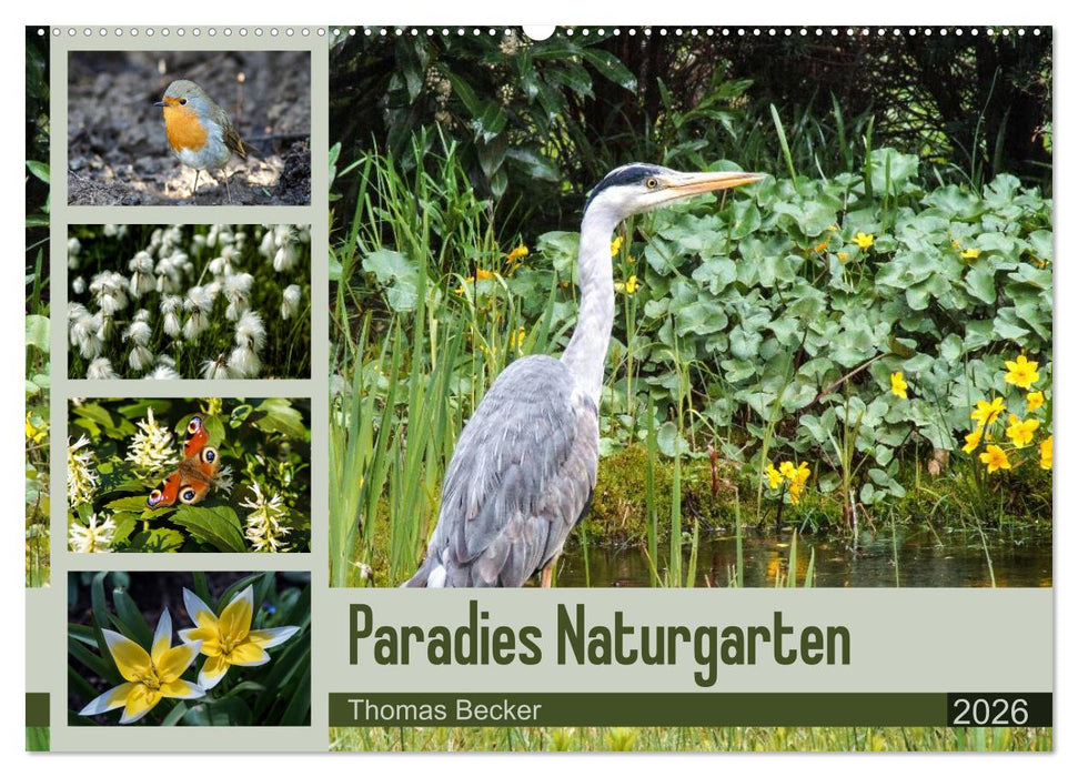 Paradies Naturgarten (CALVENDO Wandkalender 2026)