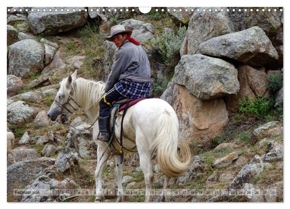 Pferde und Reiter der Mongolei (CALVENDO Wandkalender 2026)