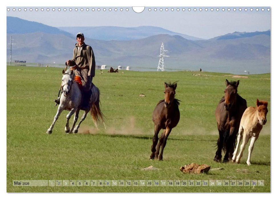 Pferde und Reiter der Mongolei (CALVENDO Wandkalender 2026)
