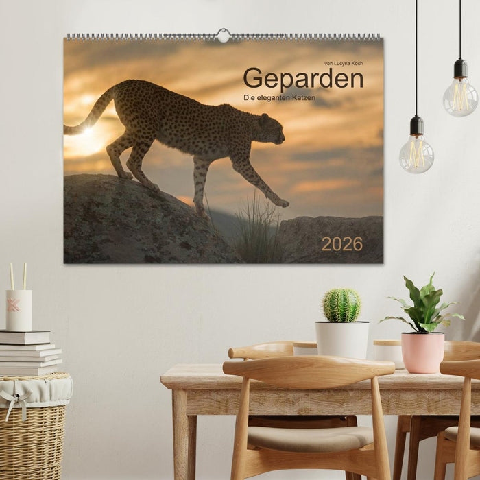 Geparden. Die eleganten Katzen. (CALVENDO Wandkalender 2026)