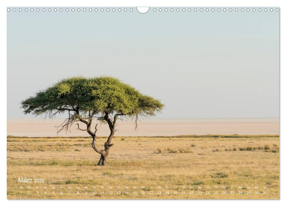 Astrein! - Der Baumkalender 2026 (CALVENDO Wandkalender 2026)