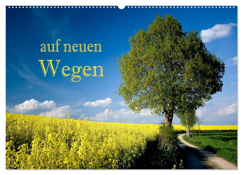 Auf neuen Wegen (CALVENDO Wandkalender 2026)