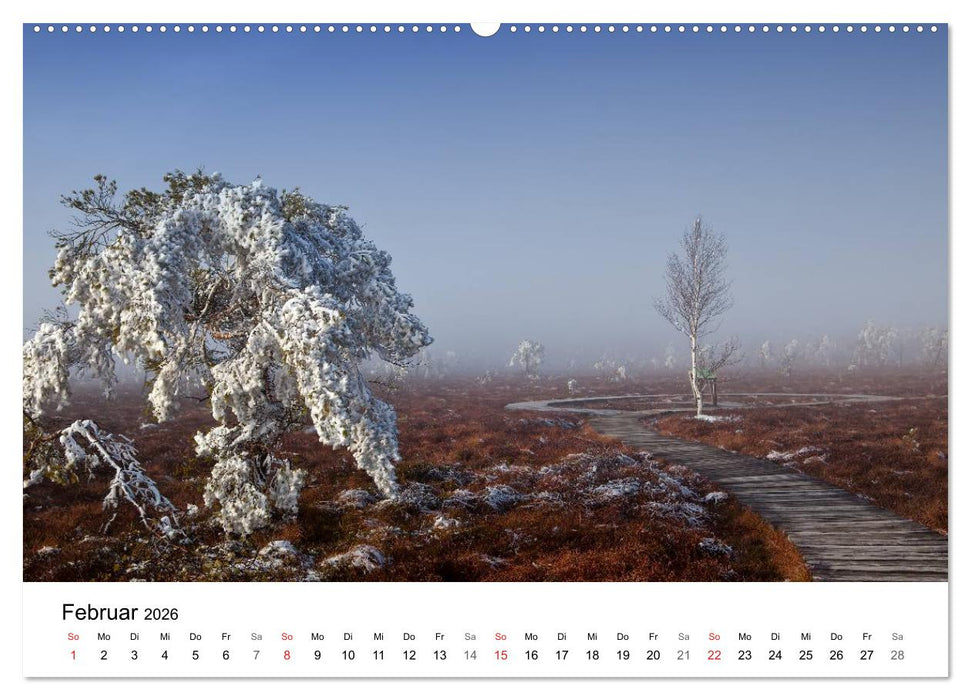 Auf neuen Wegen (CALVENDO Wandkalender 2026)