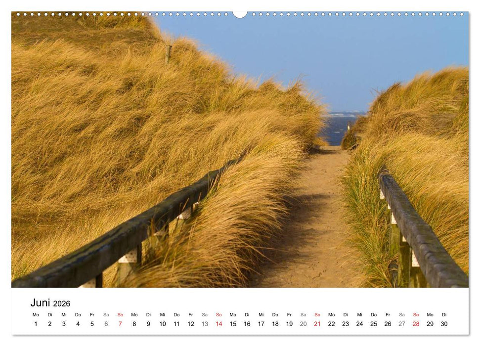 Auf neuen Wegen (CALVENDO Wandkalender 2026)