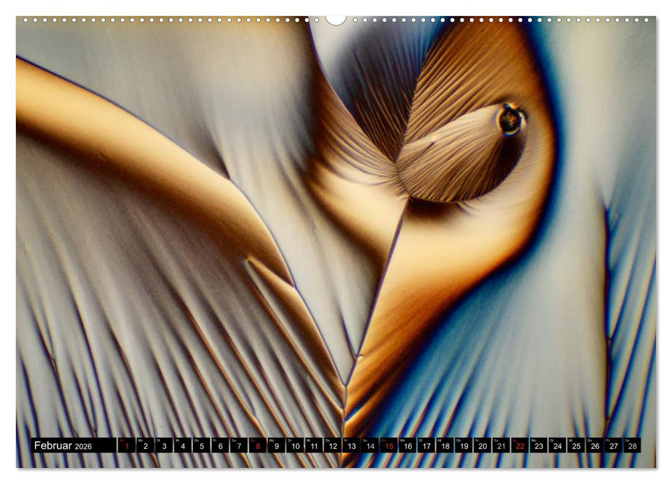 Surreale Farbwelten - Mikrokristalle (CALVENDO Premium Wandkalender 2026)