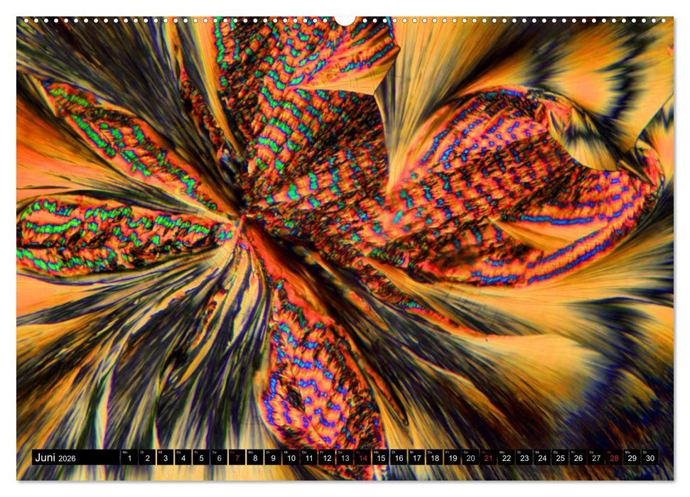 Surreale Farbwelten - Mikrokristalle (CALVENDO Premium Wandkalender 2026)