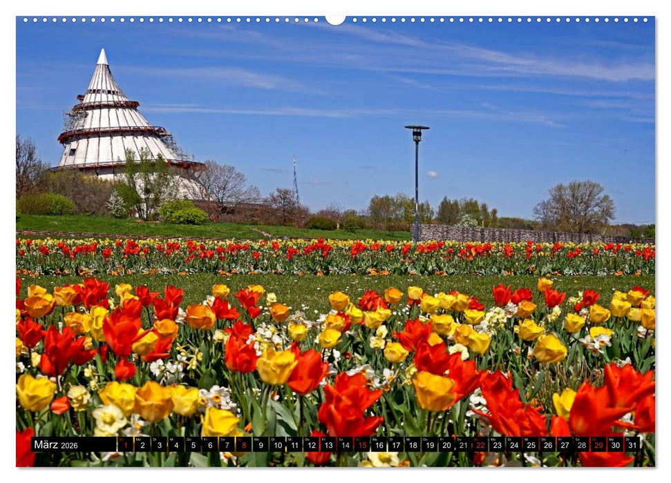 Magdeburg an der Elbe 2026 (CALVENDO Wandkalender 2026)