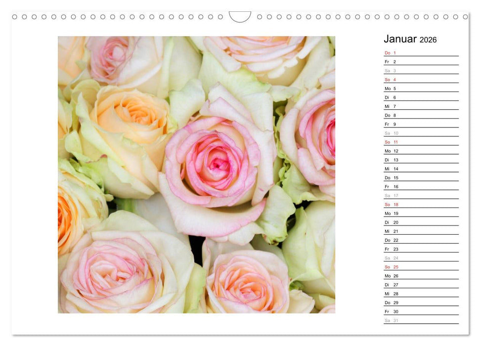 Die vielen Gesichter der Rosen (CALVENDO Wandkalender 2026)