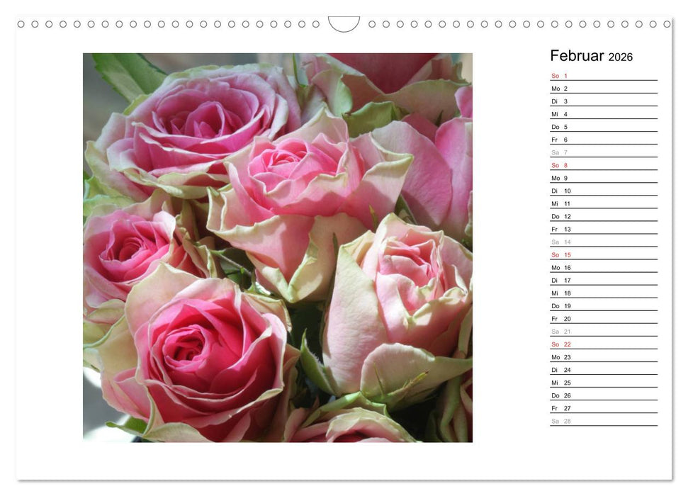 Die vielen Gesichter der Rosen (CALVENDO Wandkalender 2026)