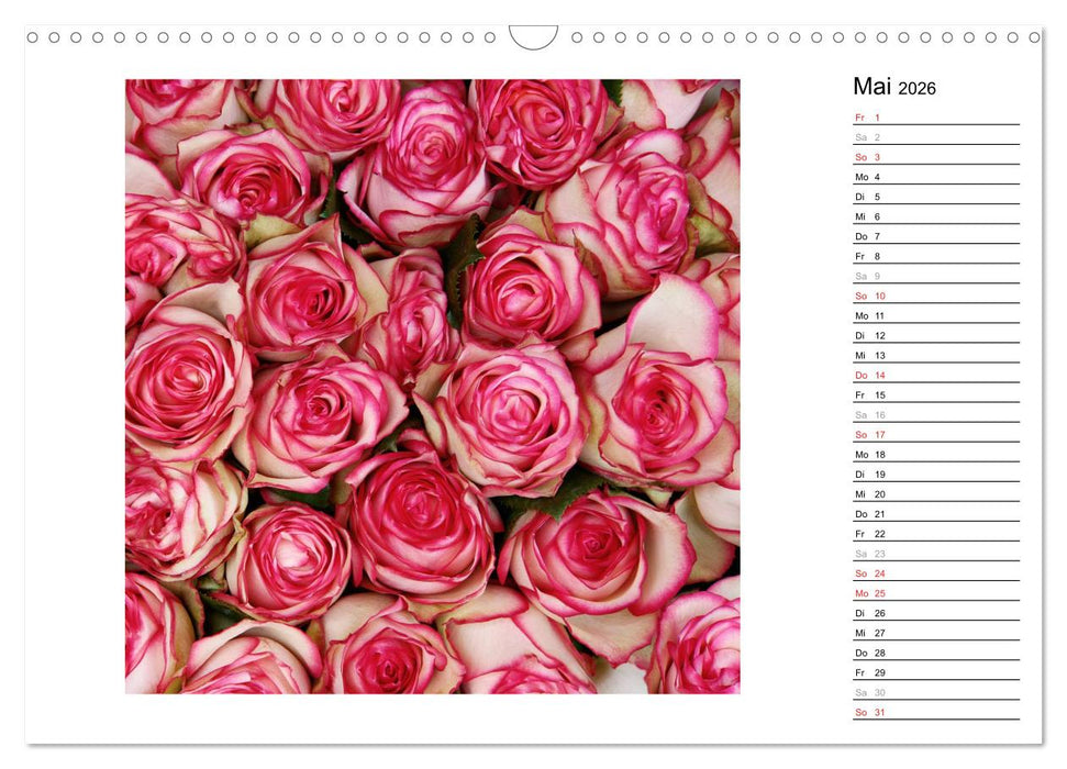 Die vielen Gesichter der Rosen (CALVENDO Wandkalender 2026)