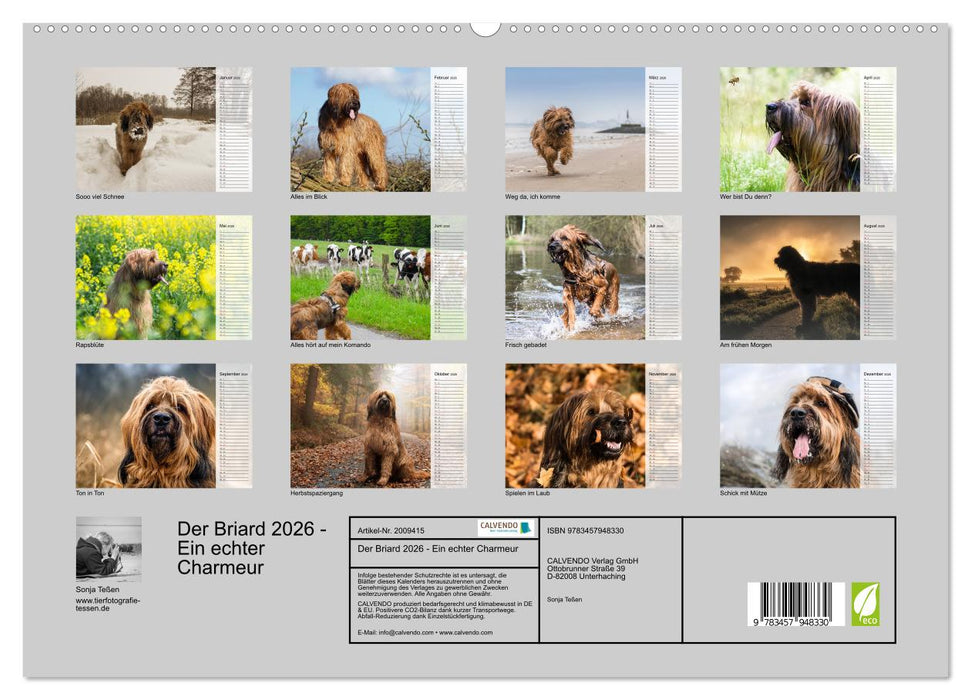Der Briard 2026 - Ein echter Charmeur (CALVENDO Premium Wandkalender 2026)