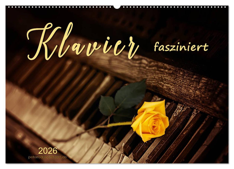 Klavier fasziniert (CALVENDO Wandkalender 2026)