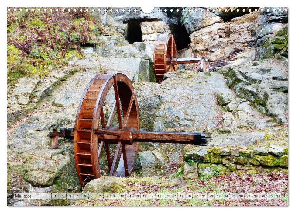 Blankenburg im Harz (CALVENDO Wandkalender 2026)