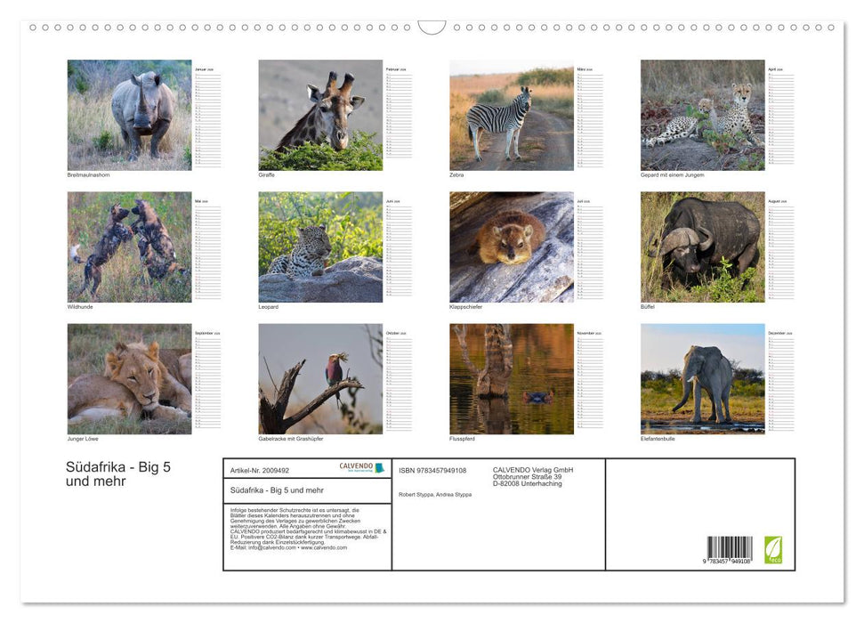 Südafrika - Big 5 und mehr (CALVENDO Wandkalender 2026)
