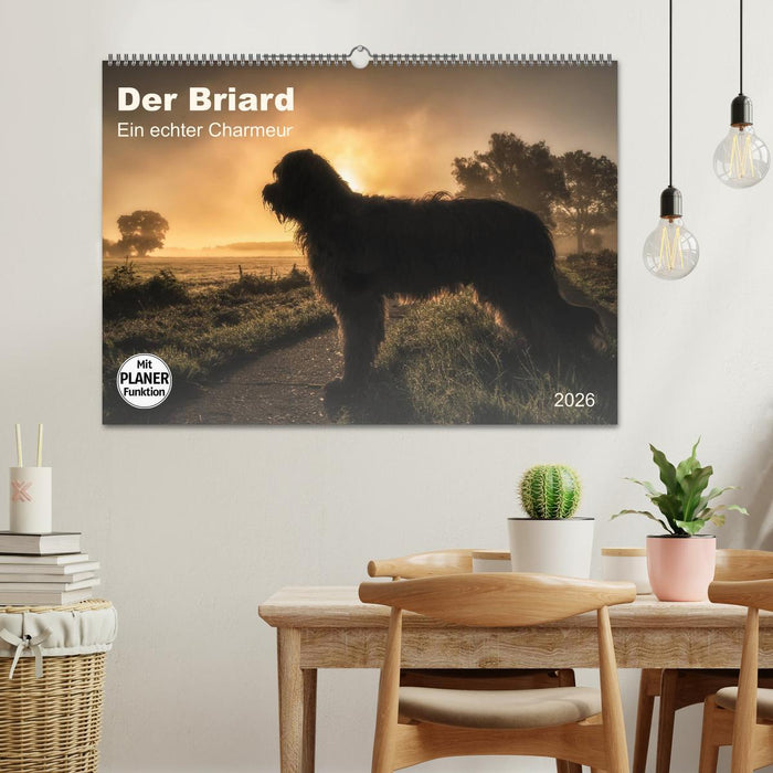 Der Briard 2026 - Ein echter Charmeur (CALVENDO Wandkalender 2026)