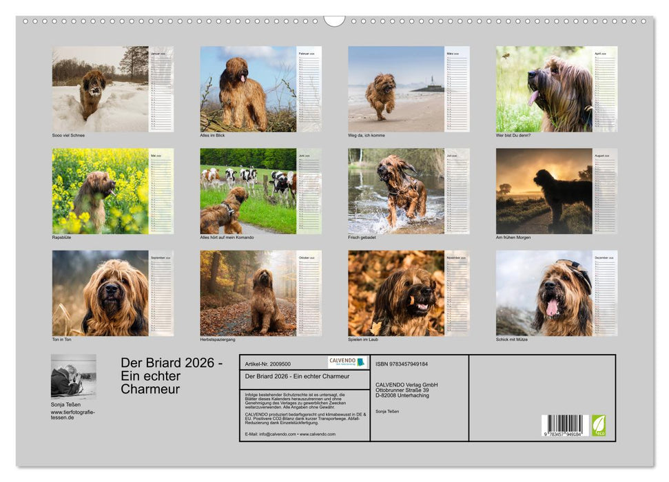 Der Briard 2026 - Ein echter Charmeur (CALVENDO Wandkalender 2026)