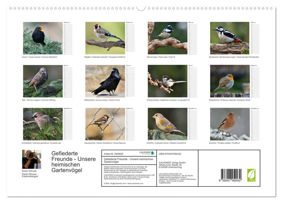 Gefiederte Freunde - Unsere heimischen Gartenvögel (CALVENDO Premium Wandkalender 2026)
