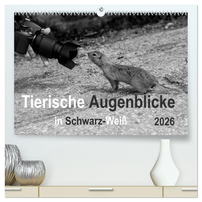 Tierische Augenblicke in Schwarz-Weiß (CALVENDO Premium Wandkalender 2026)