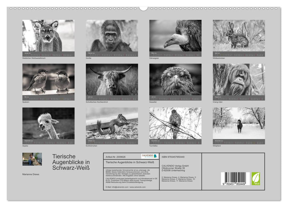 Tierische Augenblicke in Schwarz-Weiß (CALVENDO Premium Wandkalender 2026)