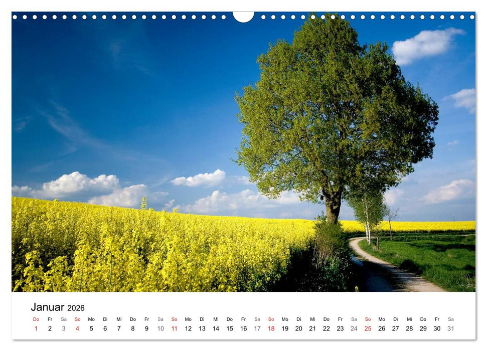 Rapsodie (CALVENDO Wandkalender 2026)