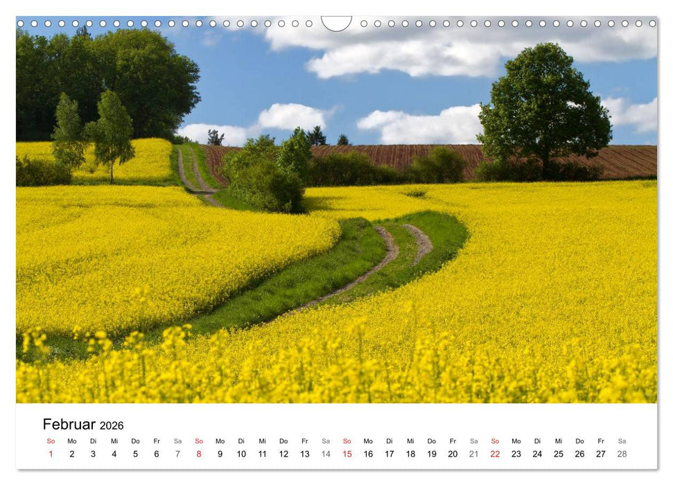 Rapsodie (CALVENDO Wandkalender 2026)