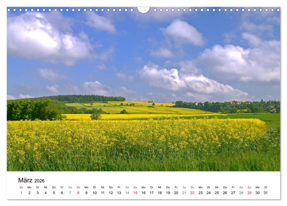 Rapsodie (CALVENDO Wandkalender 2026)