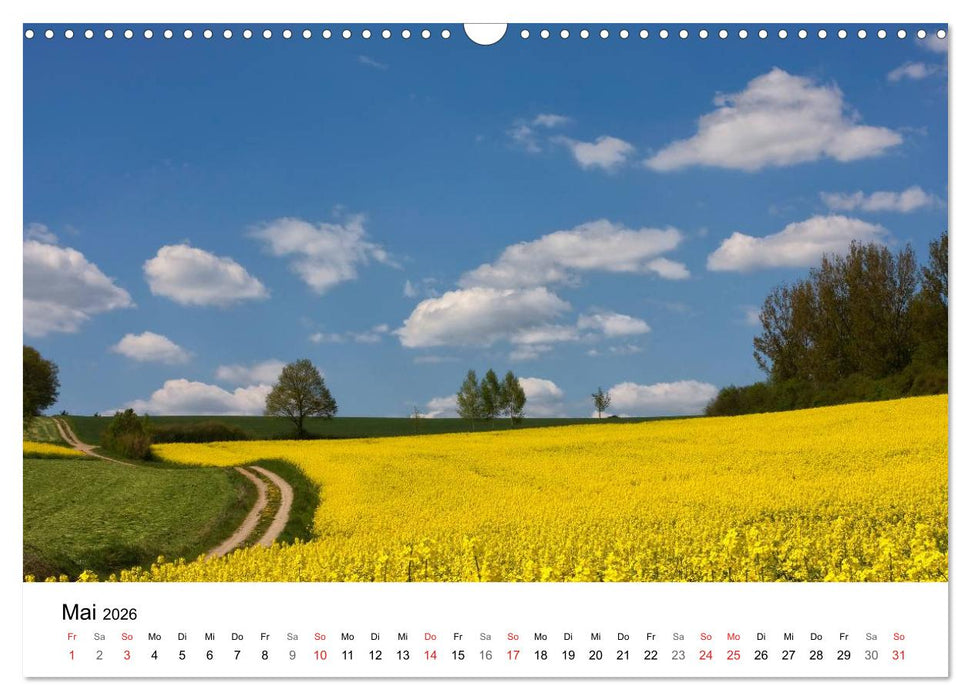 Rapsodie (CALVENDO Wandkalender 2026)