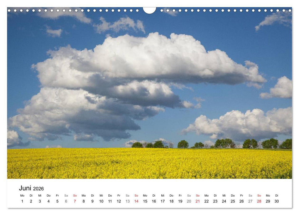 Rapsodie (CALVENDO Wandkalender 2026)