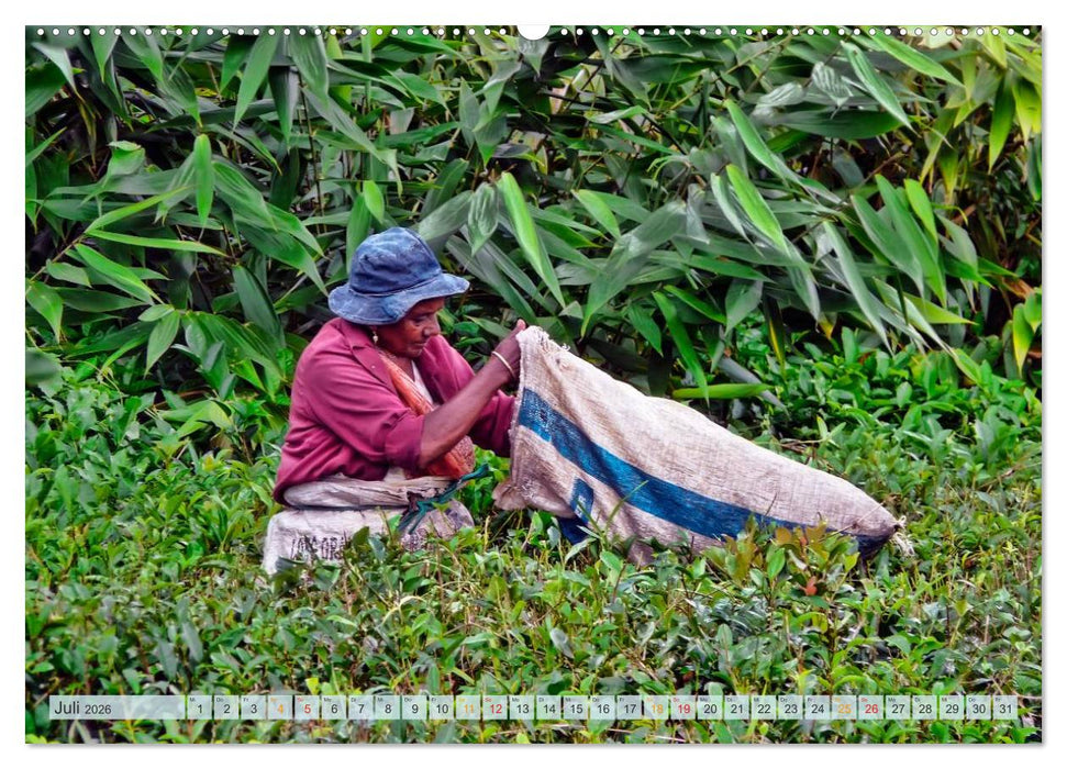 Mauritius - Insel im Indischen Ozean (CALVENDO Premium Wandkalender 2026)