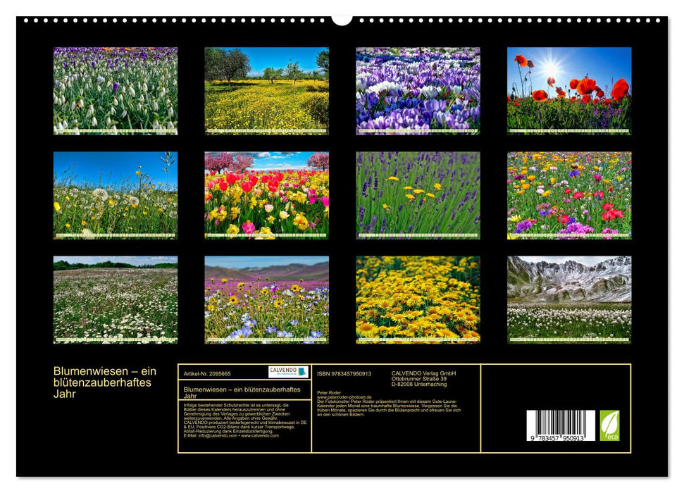 Blumenwiesen – ein blütenzauberhaftes Jahr (CALVENDO Premium Wandkalender 2026)
