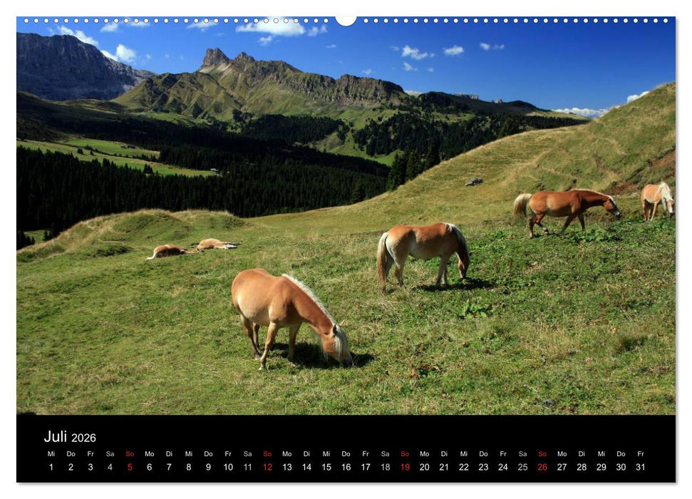 Alpe di Siusi - Seiser Alm (CALVENDO Premium Wandkalender 2026)