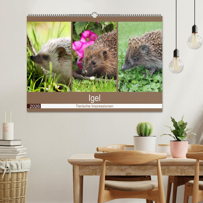Igel 2026. Tierische Impressionen (CALVENDO Wandkalender 2026)