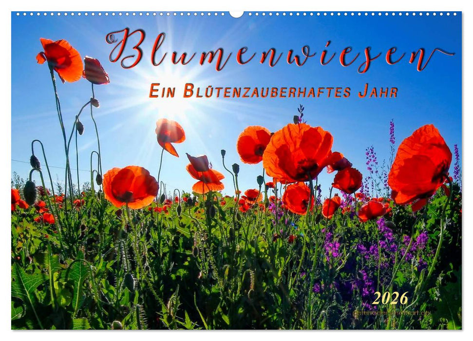 Blumenwiesen – ein blütenzauberhaftes Jahr (CALVENDO Wandkalender 2026)
