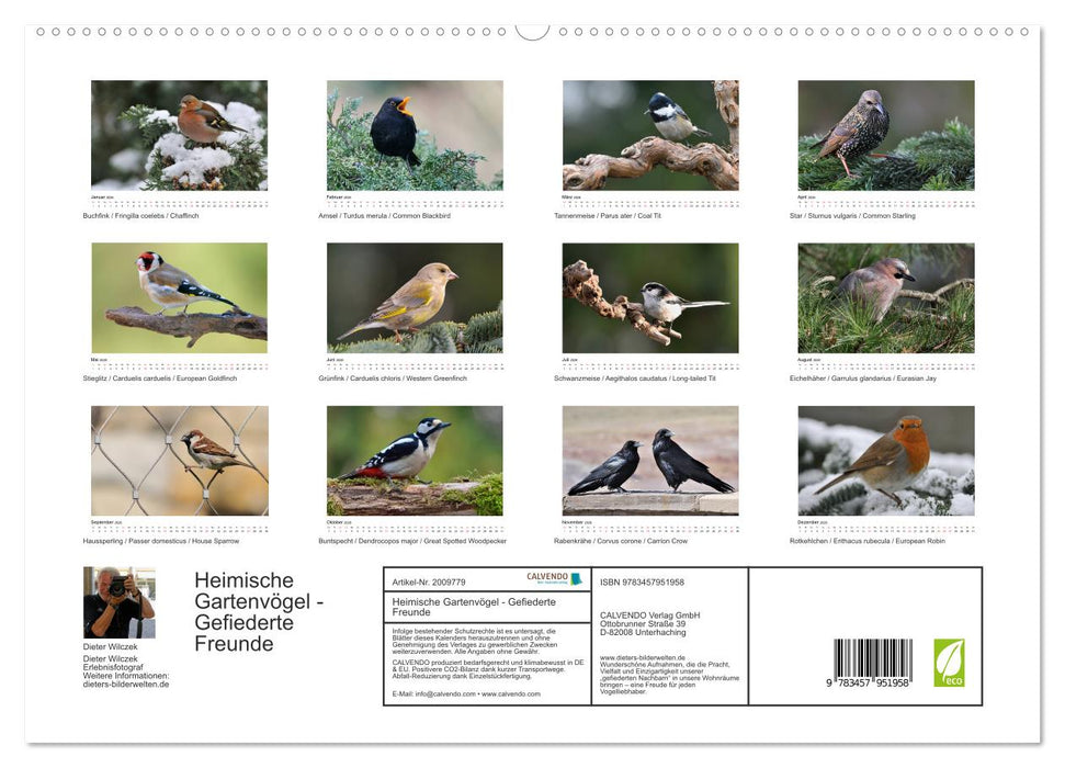 Heimische Gartenvögel - Gefiederte Freunde (CALVENDO Premium Wandkalender 2026)
