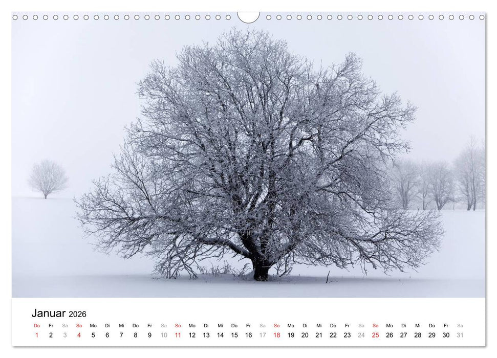 Die Rhön (CALVENDO Wandkalender 2026)