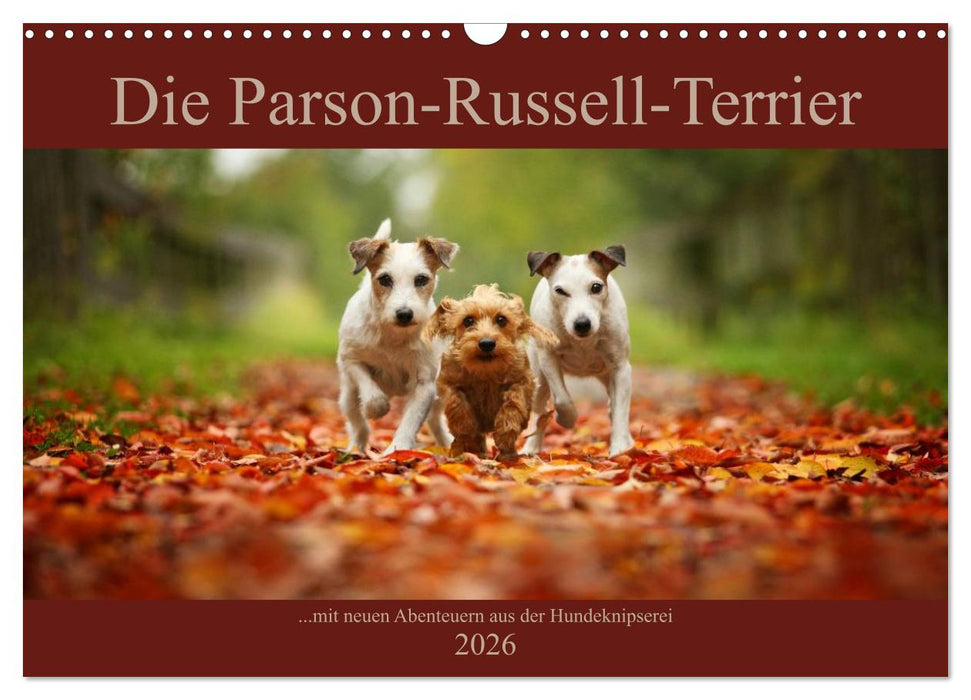 Die Parson-Russell-Terrier ...mit neuen Abenteuern aus der Hundeknipserei (CALVENDO Wandkalender 2026)