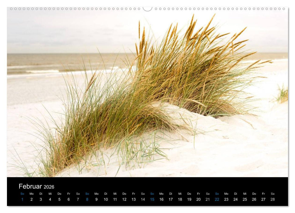Grüße aus Texel (CALVENDO Premium Wandkalender 2026)
