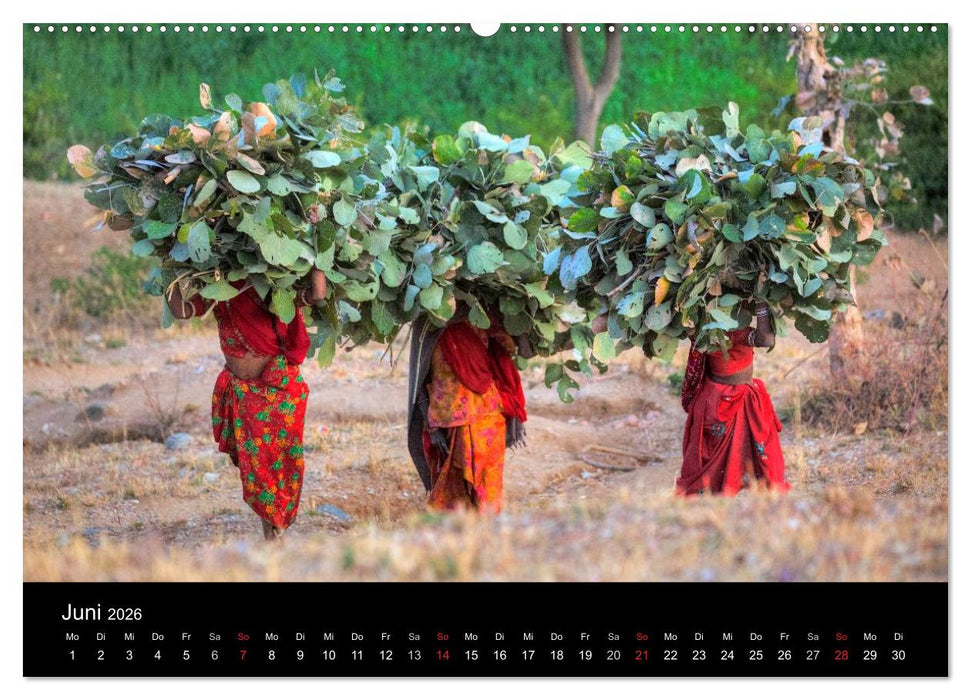 Indiens Gesichter (CALVENDO Premium Wandkalender 2026)