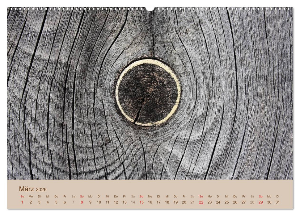 Farben des Holzes (CALVENDO Premium Wandkalender 2026)
