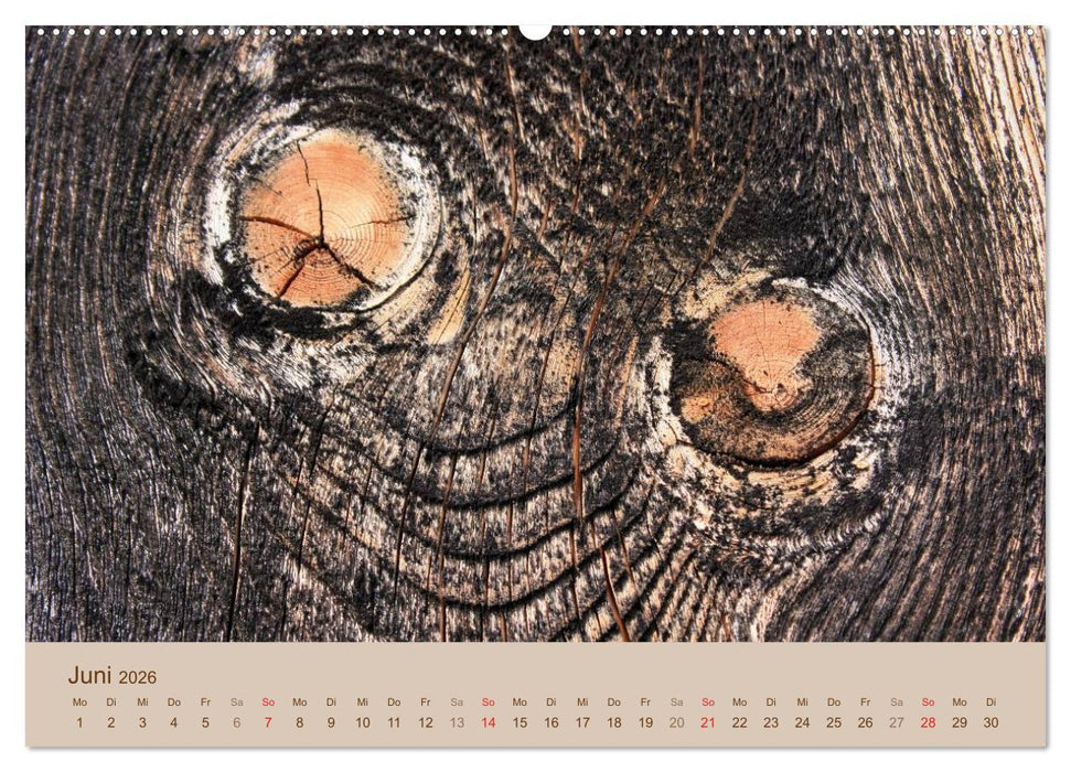 Farben des Holzes (CALVENDO Premium Wandkalender 2026)